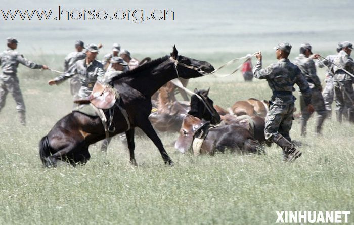 【组图】天朝骑兵科目竞赛庆八一