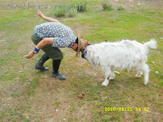 美丽与爱同行----2010重庆爱马仕骑行新彊游记