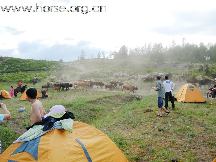 美丽与爱同行----2010重庆爱马仕骑行新彊游记