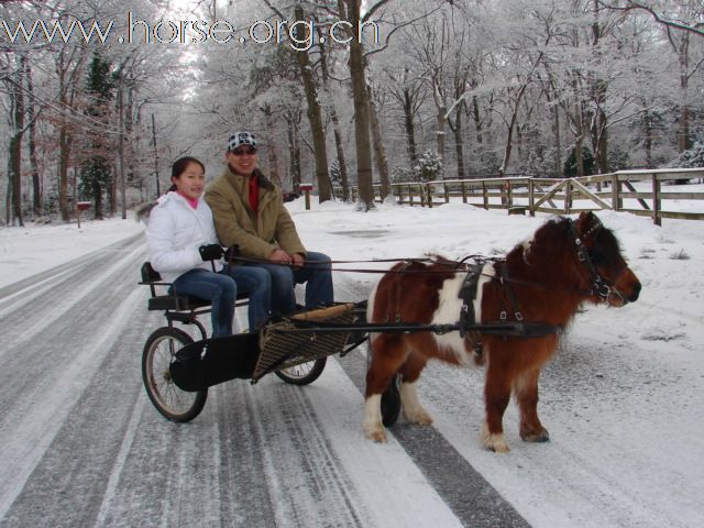 玩雪