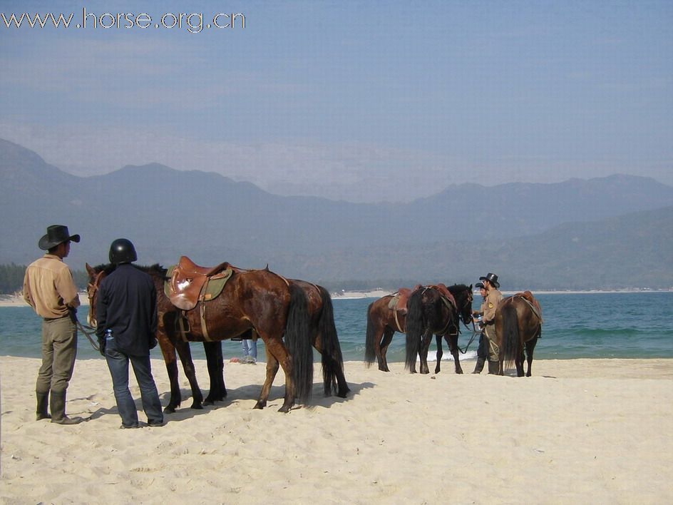 西冲騎馬記