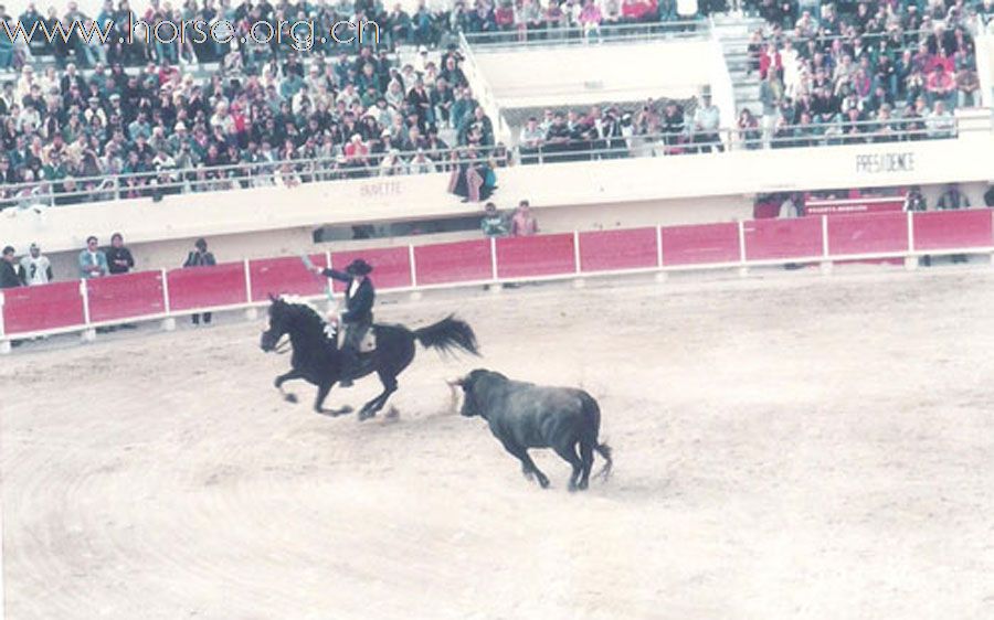 Le Primtemps de Toreo & Cheval 春天法国斗牛节随笔