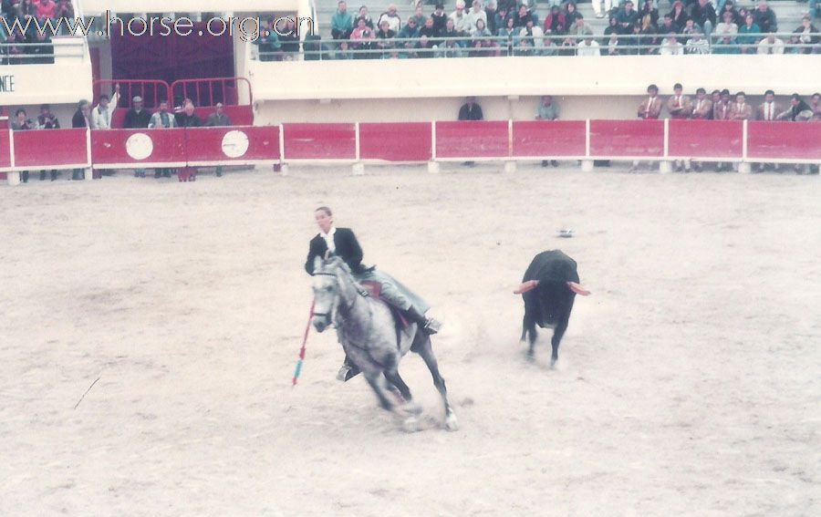 Le Primtemps de Toreo & Cheval 春天法国斗牛节随笔