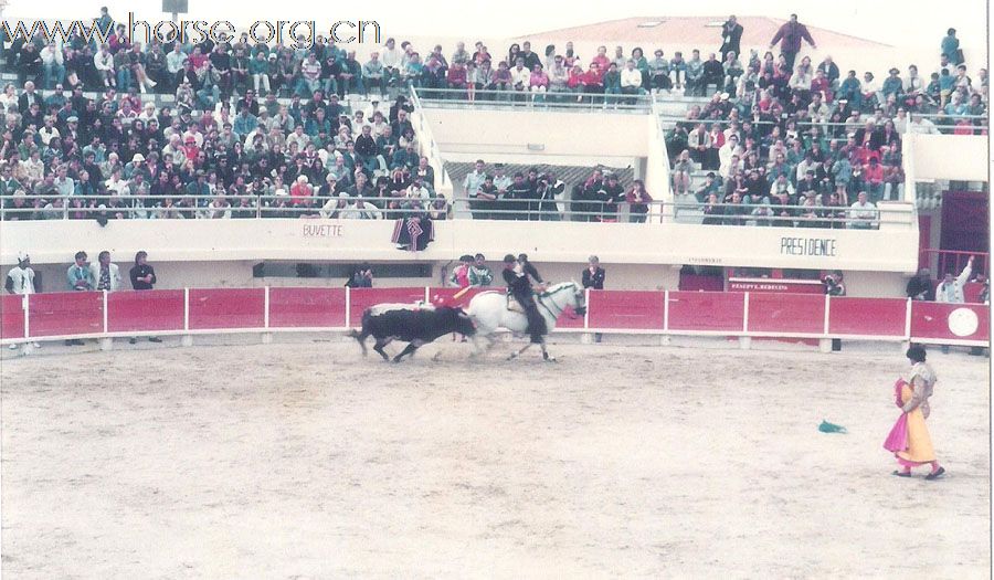 Le Primtemps de Toreo & Cheval 春天法国斗牛节随笔