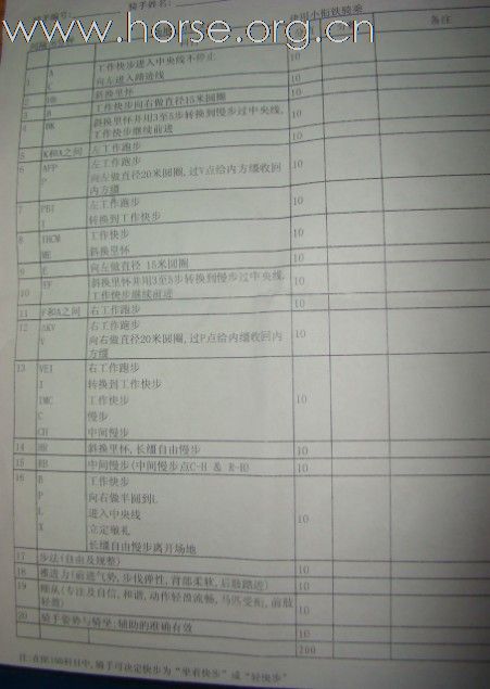 2011年四海标卓杯广东马术邀请赛舞步路线