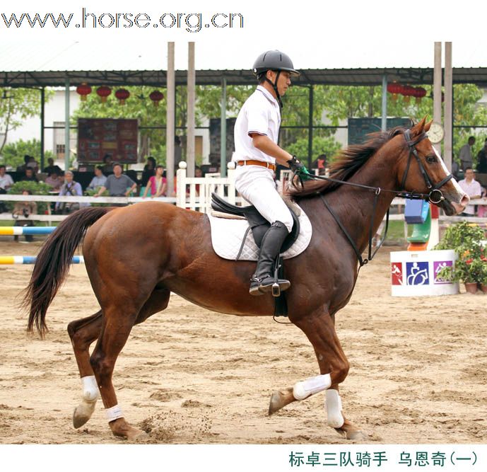 晓光手记：2011广东省第十一届天麓骑术场地障碍常规赛（续二）100CM团体赛扫描