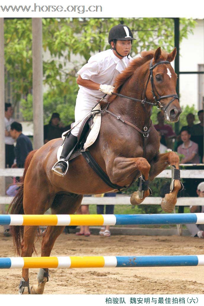 晓光手记：2011广东省第十一届天麓骑术场地障碍常规赛（续三）100CM团体赛扫描