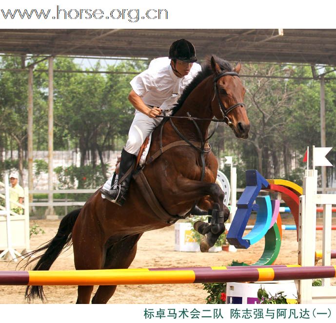 晓光手记：2011广东省第十一届天麓骑术场地障碍常规赛（续三）100CM团体赛扫描