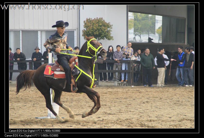 乐派特比赛照片