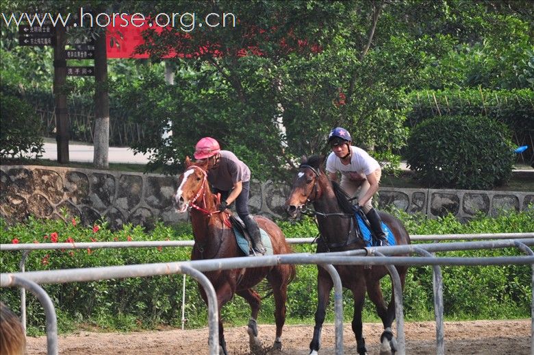 20110424复活节、光明騎士会の以馬会友。