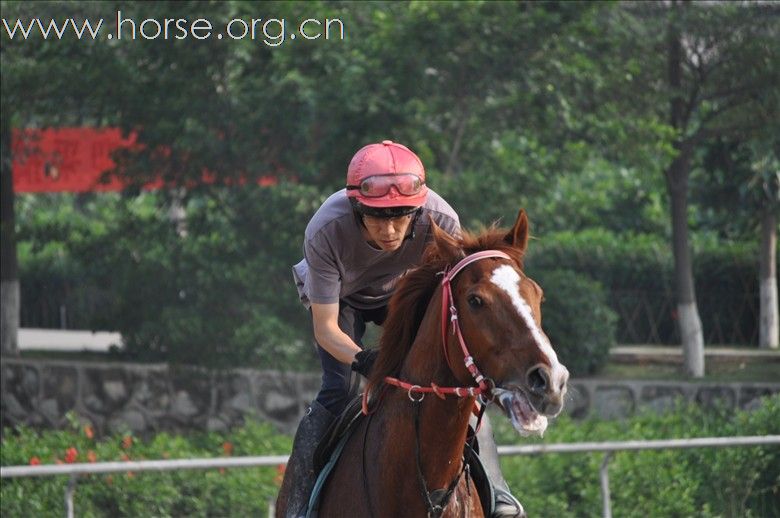 20110424复活节、光明騎士会の以馬会友。