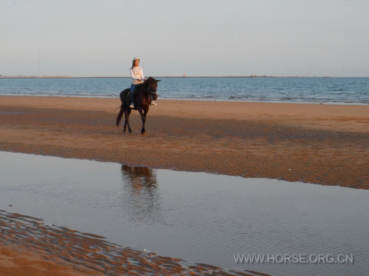 海阳，夕阳下策骑的美女 (1).JPG