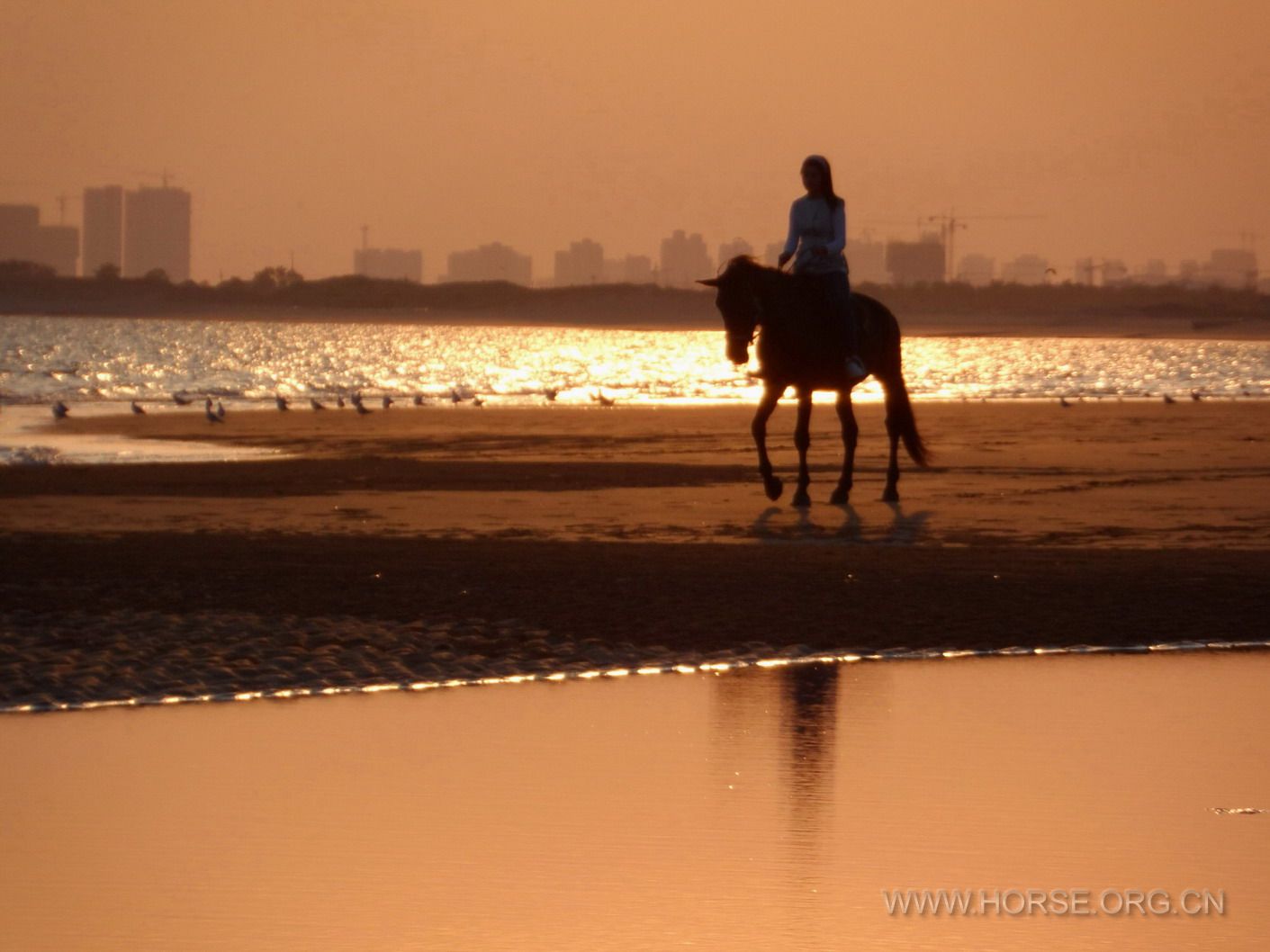 海阳，夕阳下策骑的美女 (12).JPG