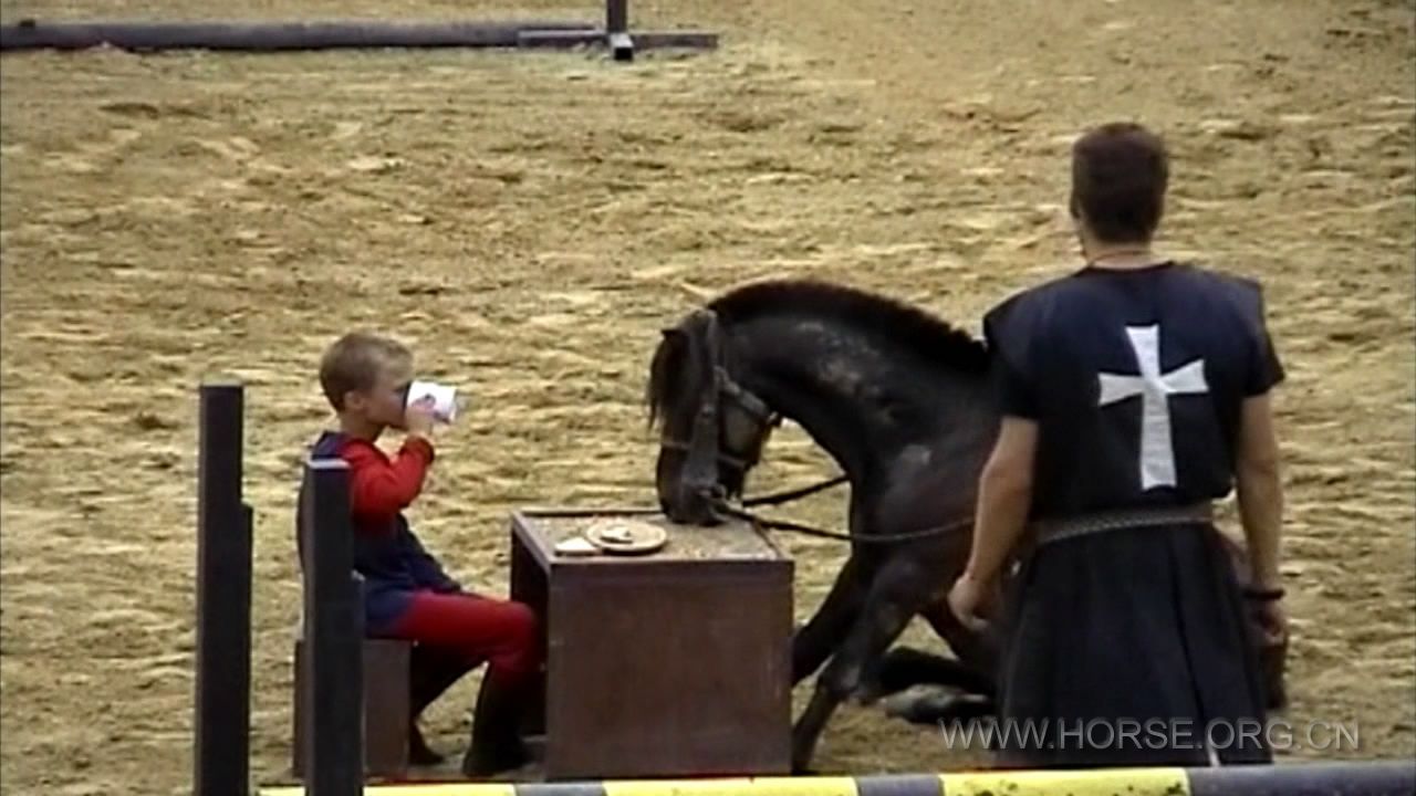 舞马衔杯（犬坐）