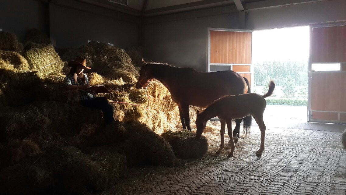 晓萱的剧照很多都温馨、美好