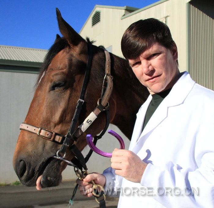 复件 2 CSIRO researcher, Chad Henry, presents the new race shoes to the horse.jpg